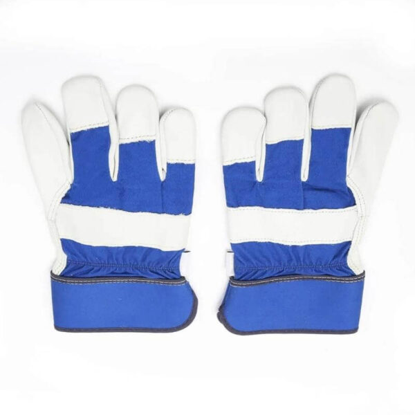 blue gardening gloves