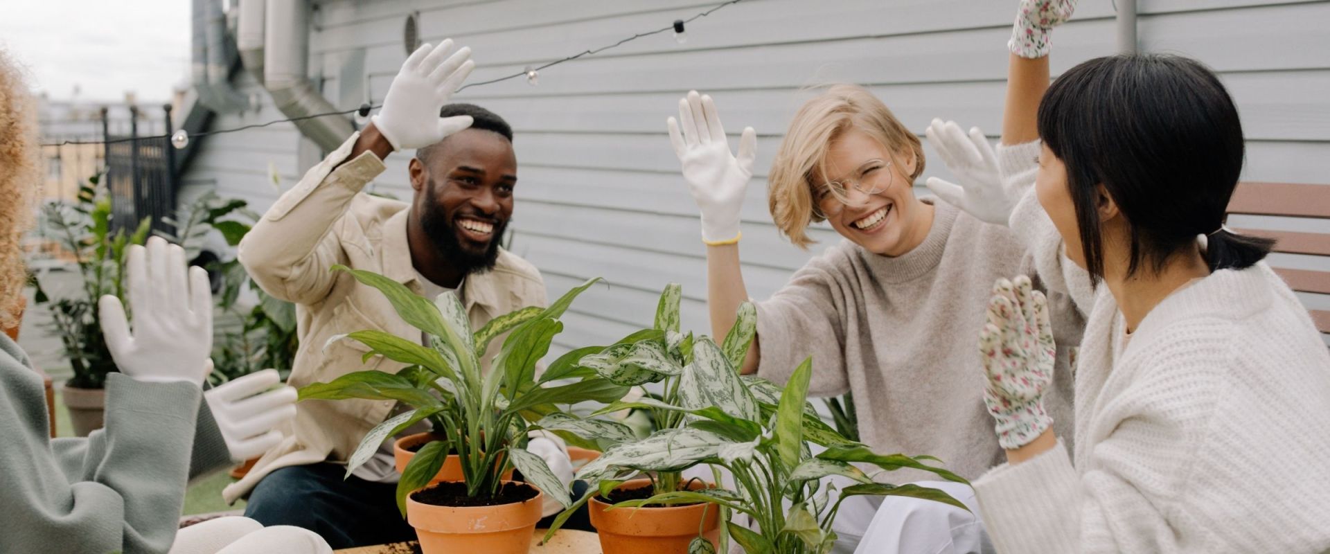 gardening gloves banner